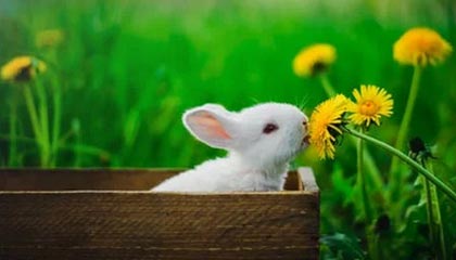 豪门不同命：曼城2-2六轮两胜 门将乌龙助攻拜仁1-1 皇马2-1领跑